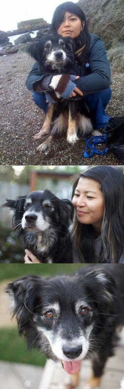 What Muttville Means To Me: The Story of Collette