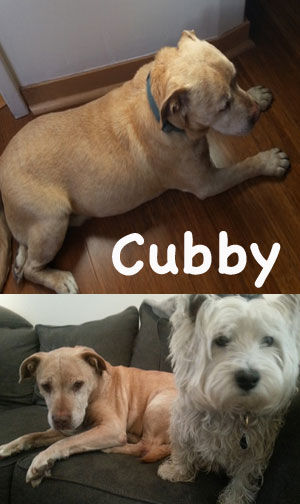 Cubby (a.k.a. Cub 1471)