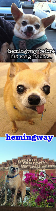 Hemingway