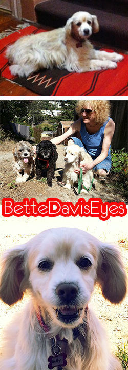 BetteDavisEyes