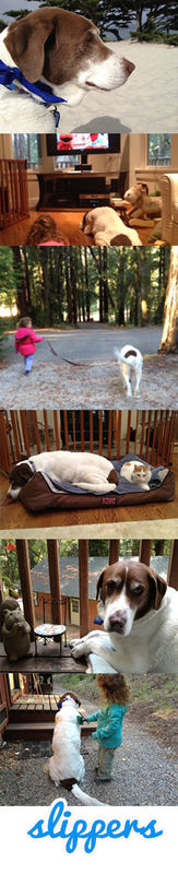 Slippers