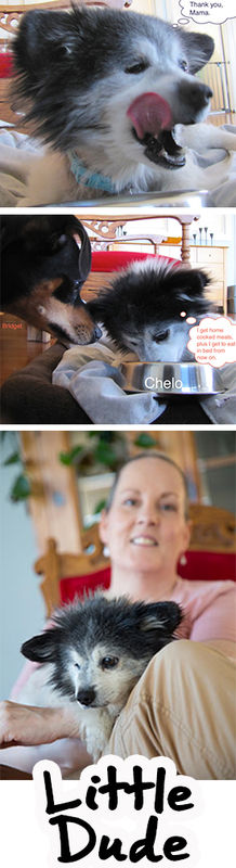 Little Dude (aka Chelo)