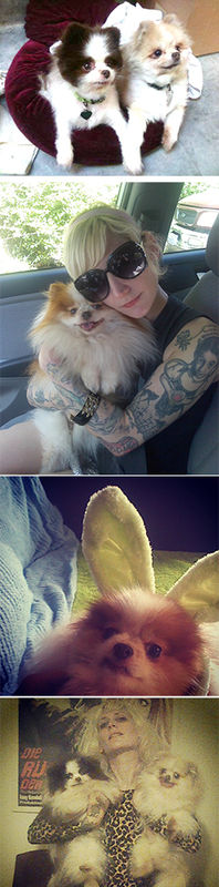 Chickin, Waffles and Acorn