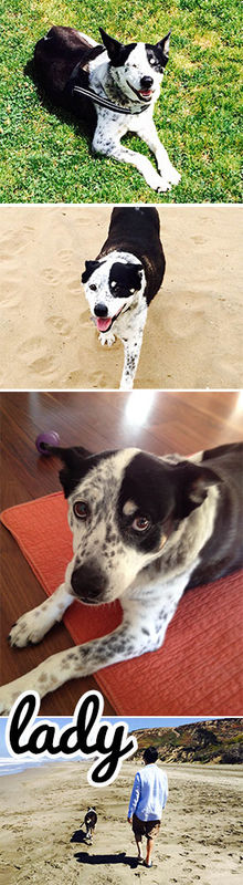 Lady (a.k.a. Milady)