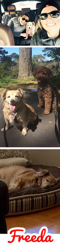 Freeda