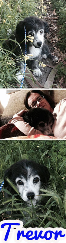 Trevor