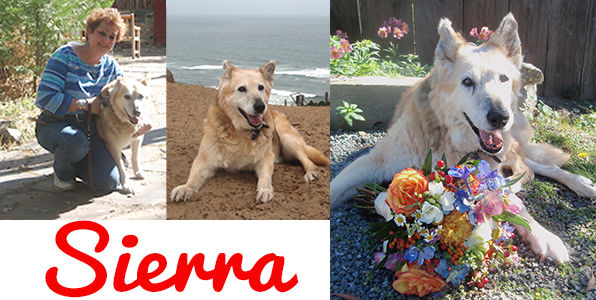 Sierra (aka Maybelline #2426)