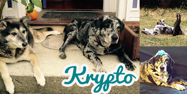 Krypto 1324
