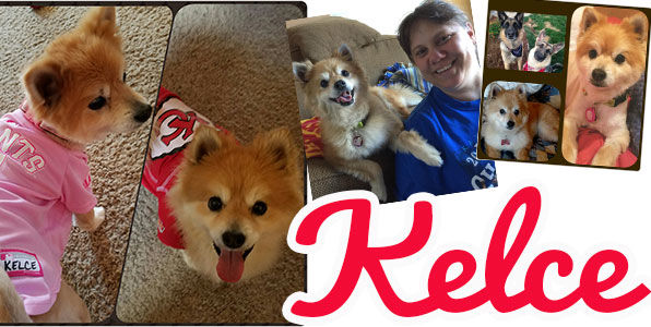 Kelce aka Ginger 3720