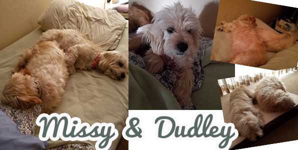 Missy and Dudley