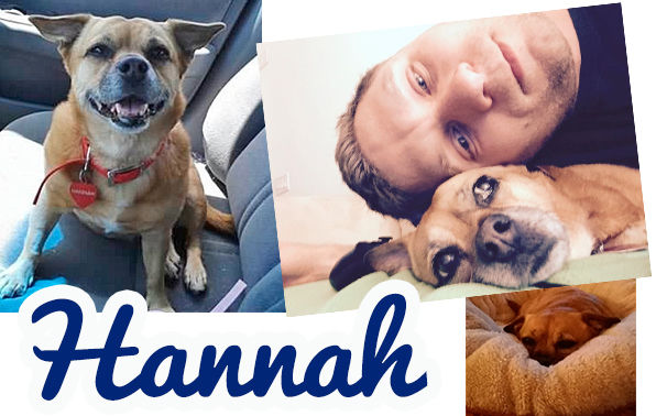 Hannah (aka Jelly Bean)