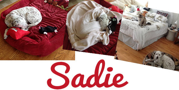 Sadie 3048