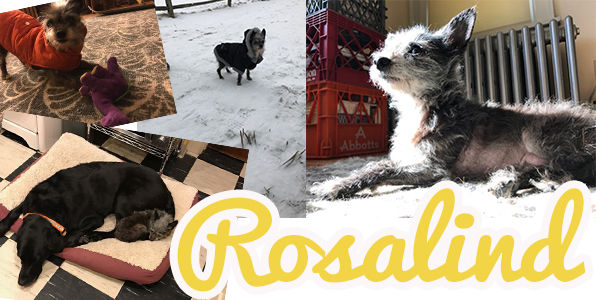 Rosalind (fka Gretchen)