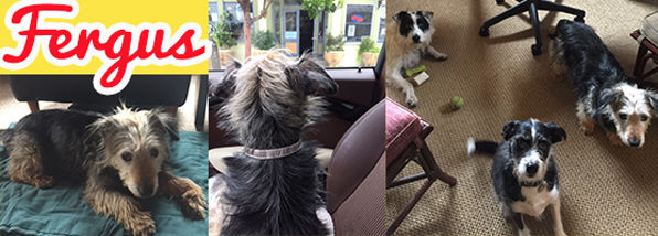 Fergus (fka Franco)