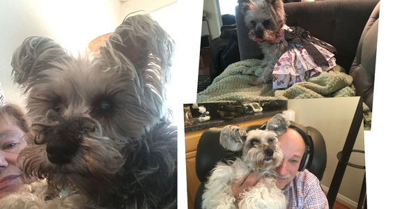 Lil Bud (formerly Maude)