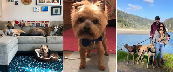 Cameron (aka Kombucha)