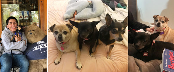 Gladys, Phyllis, and Trudy