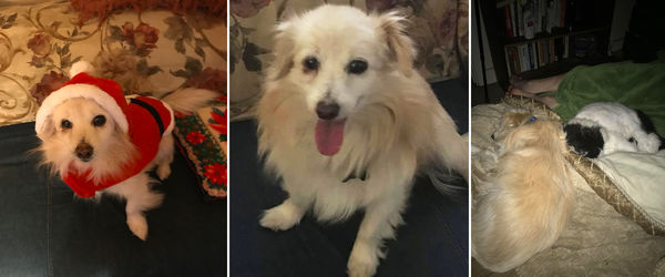 The Dude (aka Picnic)