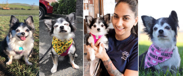 Bean Bean (aka Jilly Bean)