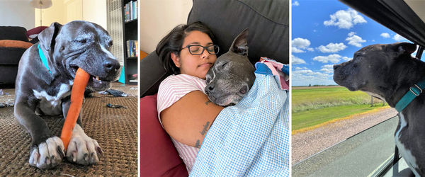 Frank (aka St. Francis)