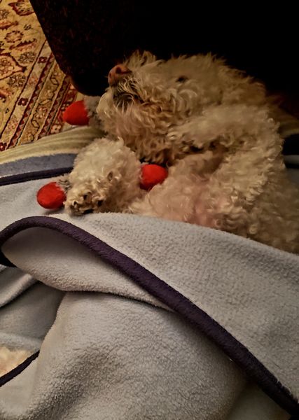 Shoshanna (fka Susan)