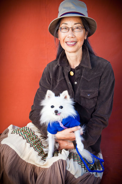 Herman, Muttville foster October 2010