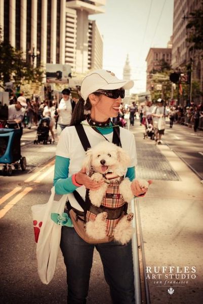 Muttville Moment with Dante