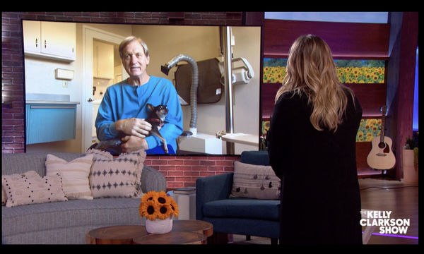 Kismet on Kelly Clarkson