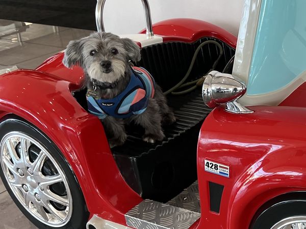 Happy aka Fenton Mitchell Tafolla