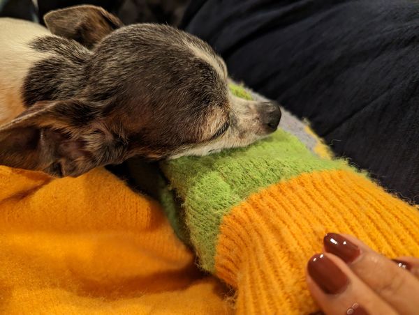 Mary Jane (fka Violet)