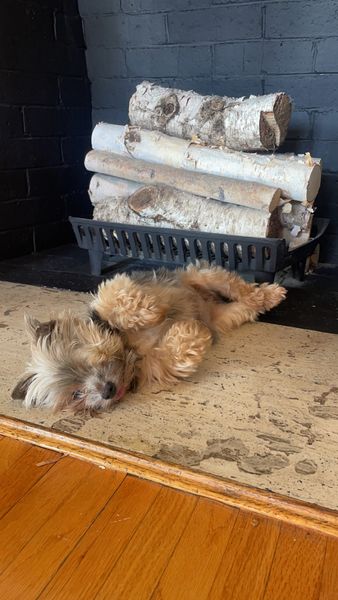 Barbie (fka Swiftie)