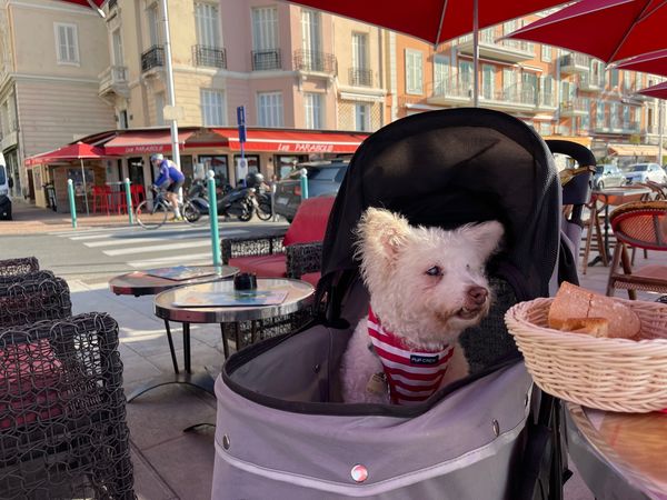 Teddy (fka Colonel Potter)