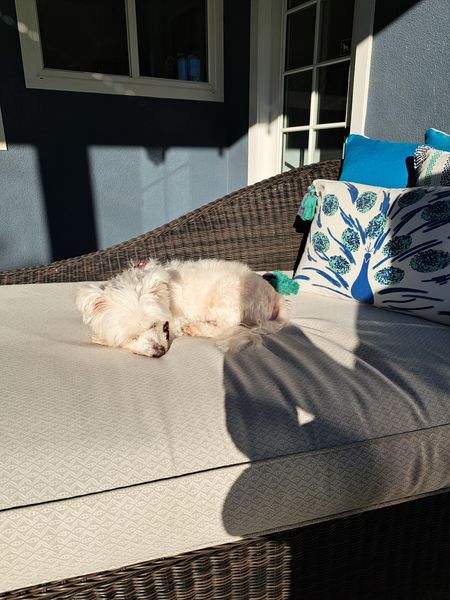 Bentley (fka Webber)