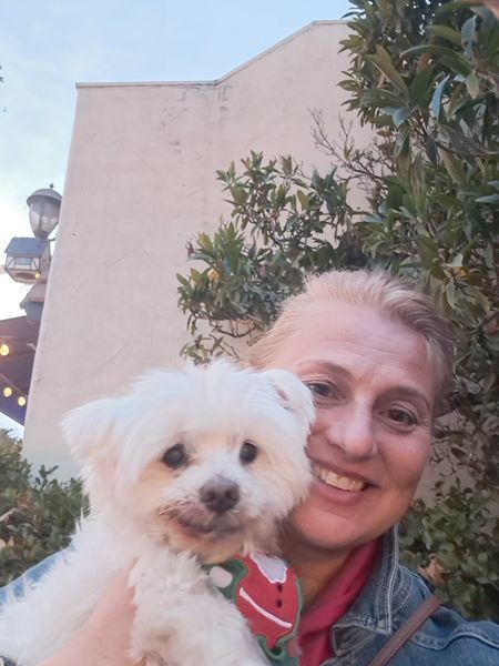 Bentley (fka Webber)