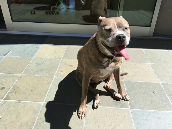 Betty (fka Mochi 3978)