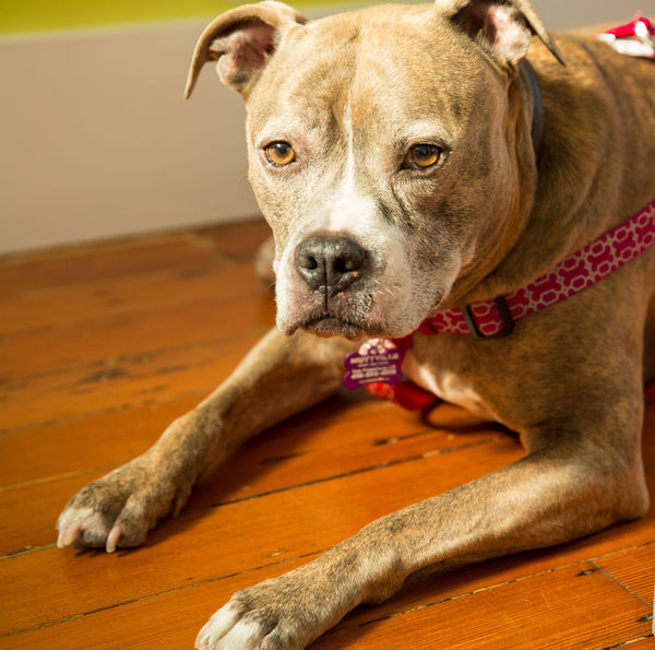 Betty (fka Mochi 3978)