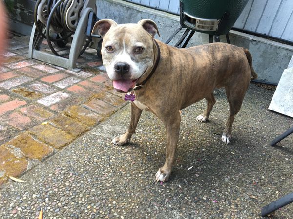 Betty (fka Mochi 3978)