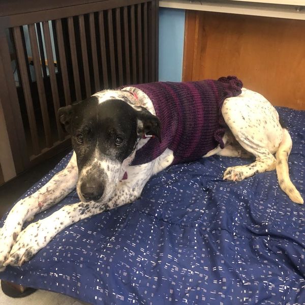 Elska (fka Margarita)