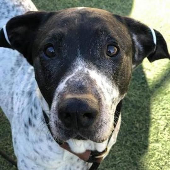 Elska (fka Margarita)