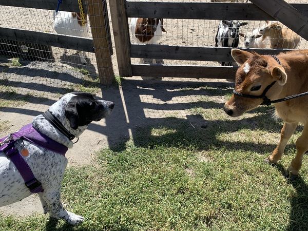 Elska (fka Margarita)