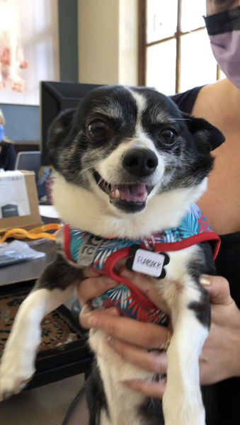 Rogers (fka Flapjack)