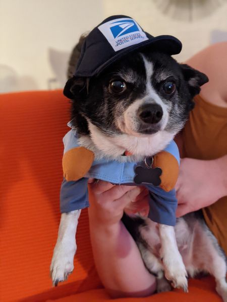 Rogers (fka Flapjack)