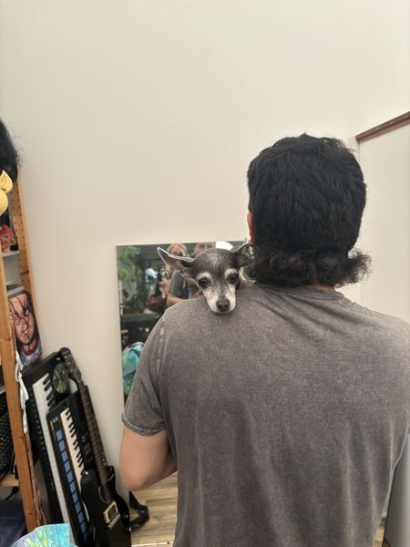 Lupi (fka Sloth) and Bijou (fka Platinum)