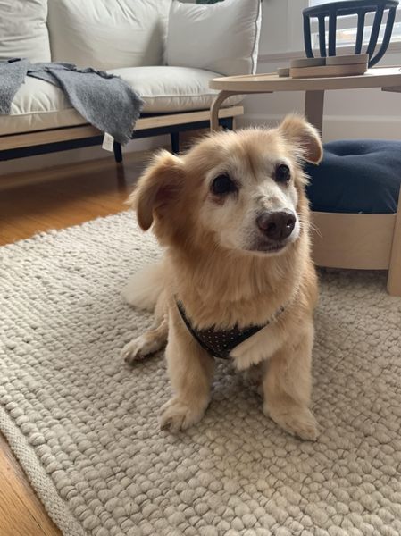 Dottie (fka Valerie)