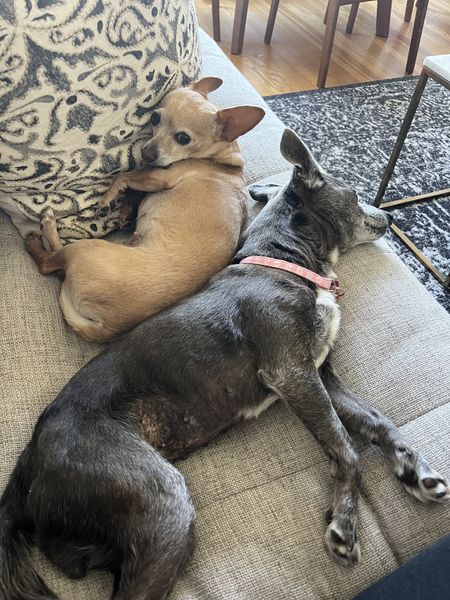 Nora (fka Alexandria)