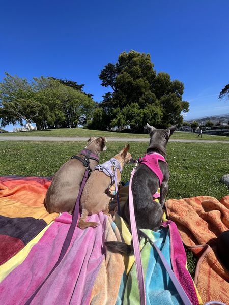 Nora (fka Alexandria)