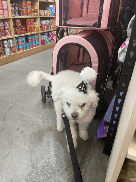 Ella (fka Georgia O'Keefe)