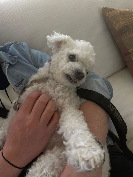 Ella (fka Georgia O'Keefe)