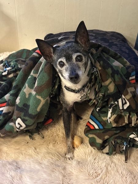 Mudslide and Banana Split