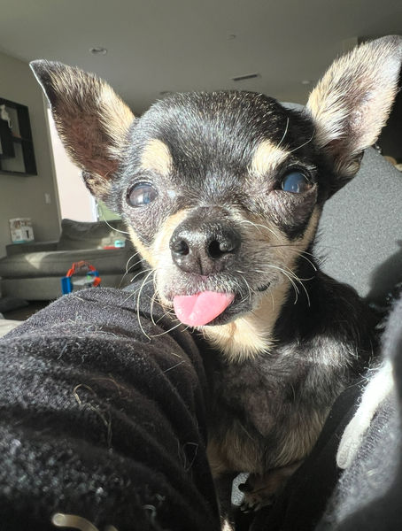 Princess (fka Pixie Stix)